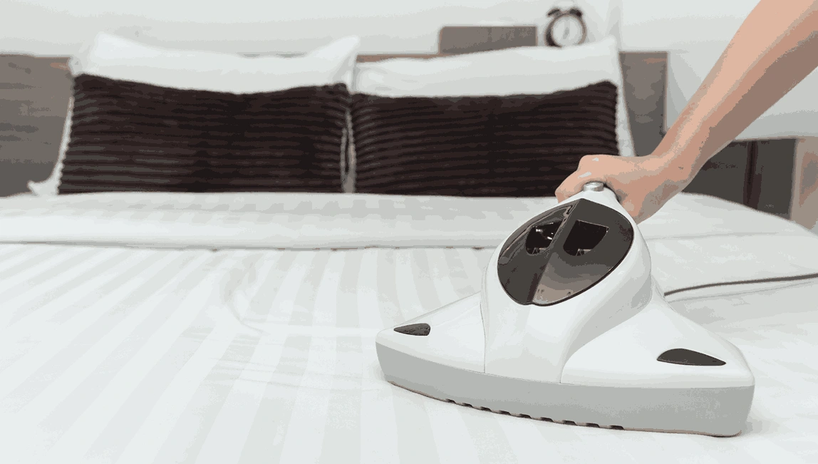 Professional Mattress Cleaning Anakie